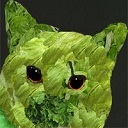 LettuceCat's Avatar