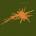 ravvick's Avatar