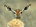 PaxImperium's Avatar