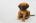 Poop's Avatar