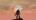 Mr. Bleek's Avatar